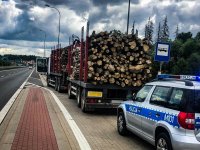 Fotografia kolorowa przedstawiająca zatrzymany pojazd ciężarowy załadowany drzewem, tuż za nim radiowóz policyjny na sygnałach