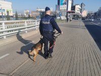 Policjant idzie z psem