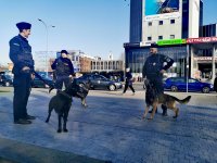 Trzech policjantów z psami służbowymi na smyczy stojący na jednej z ulic Białegostoku