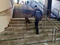 Policjant idący po schodach z psem
