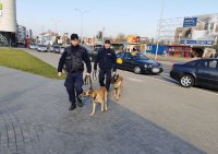 Dwóch policjantów z psami patrolujących ulice