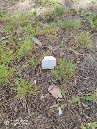 wyrzucona amfetamina leżąca na trawie