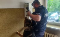 policyjny pies przewodnik z policjantem
