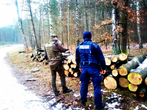 Policjant i strażnik leśny stojący przed wyciętym drzewem