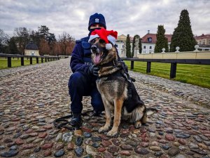umundurowana policjantka wraz z psem służbowym z czerwono-białą świąteczna czapką