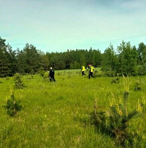 Policjanci przeczesujący tereny zielone