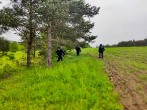 Policjanci przeczesujący łąki w poszukiwaniu zaginionej kobiety