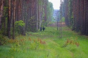 Policjanci przeczesujący las w poszukiwaniu zaginionej kobiety