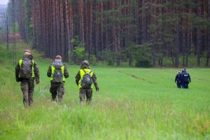 Policjanci i funkcjonariusze Wojska Obrony Terytorialnej  przeczesujący łąki w poszukiwaniu zaginionej kobiety
