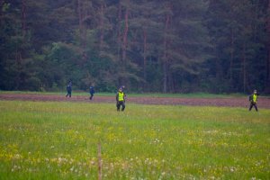 Policjanci i Funkcjonariusze Wojska Obrony Terytorialnej przeczesujący tereny zielone w poszukiwaniu zaginionej kobiety.