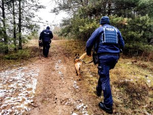 Policjanci z psami tropiącymi idący ścieżką