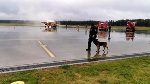 policjant idący z psem służbowy, w tle służby ratunkowe