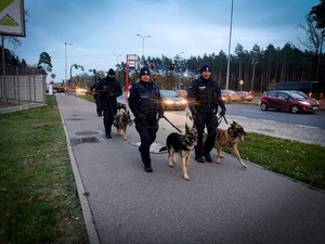 Policjanci z psami służbowymi idący chodnikiem