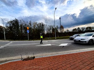 Policjantka stojąca na skrzyżowaniu z uniesiona ręką