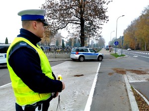 Policjant stojący przy drodze.