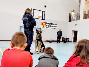 Psy służbowe z przewodnikami policyjnymi oraz siedzące dzieci.