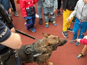 Policyjny pies na pokazie z dziećmi.