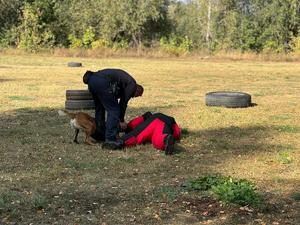 Policjant i pozorant