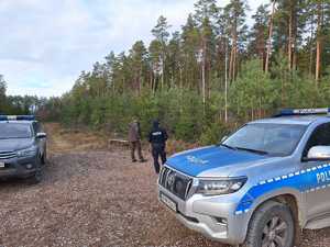 Policjanci i funkcjonariusze Straży Leśnej kontrolują miejsca z choinkami