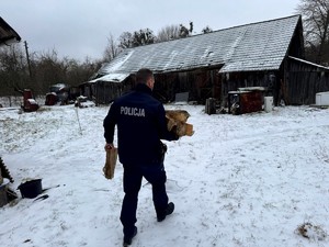 Policjant niosący drewno