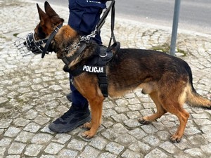 Policjanci podczas zabezpieczenia