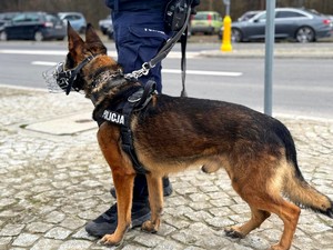 Policjanci podczas zabezpieczenia