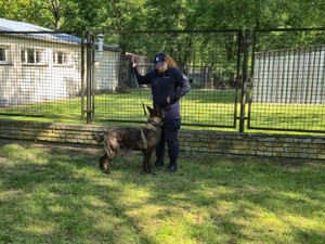 Pies z policjantką