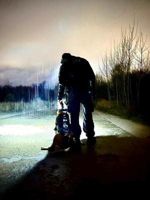 Pies z przewodnikiem