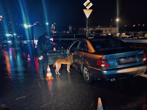 Policjant z psem służbowym Luną