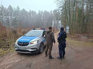 Funkcjonariusze sprawdzają legalność posiadania choinek