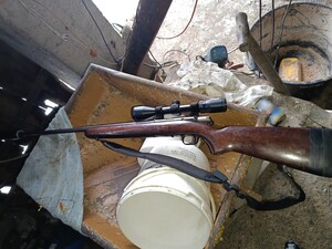 zdjęcia do kradzieży bydła