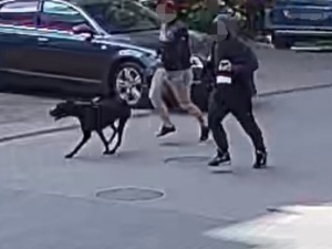 Mężczyźni uciekający z psem
